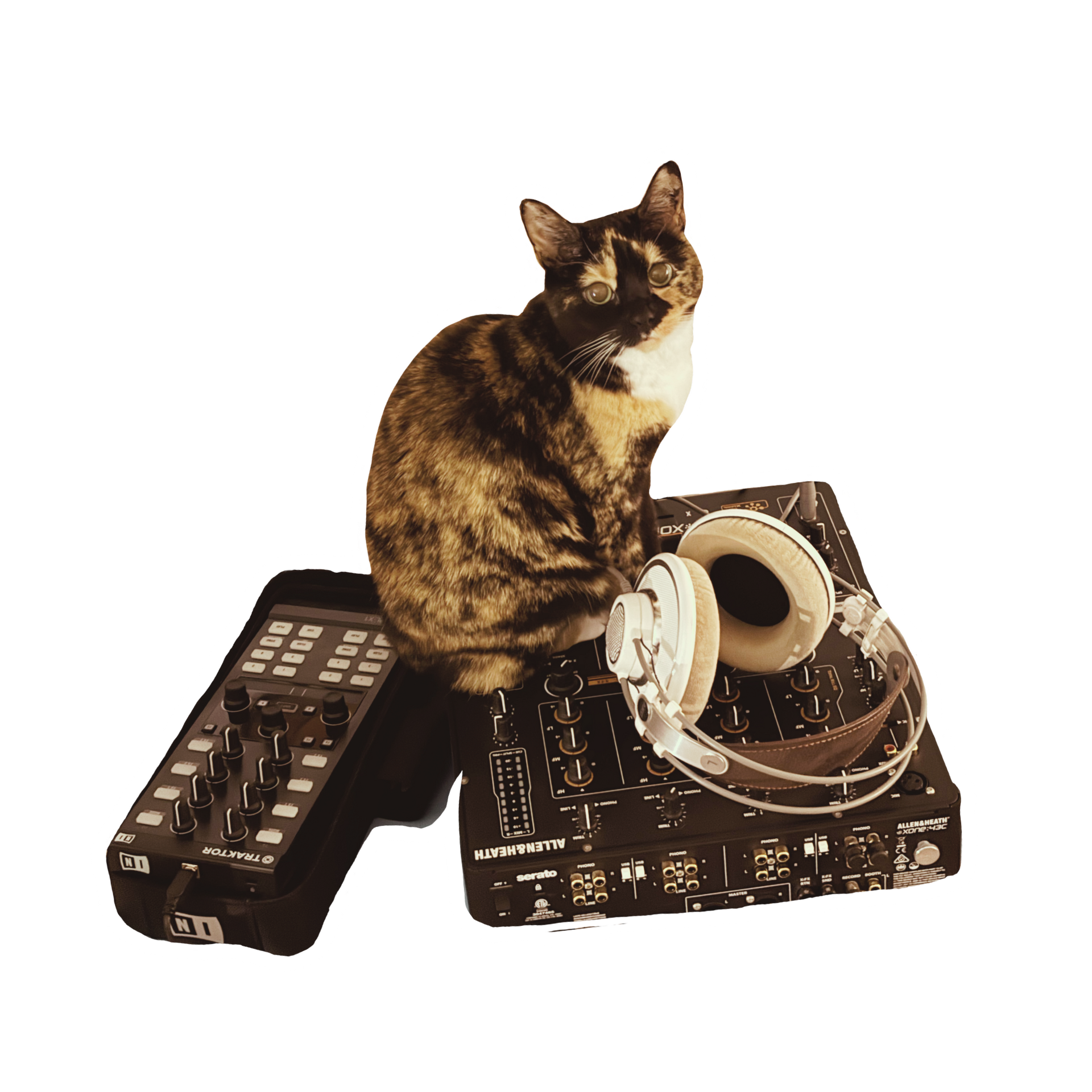DJ Mitsy sticker